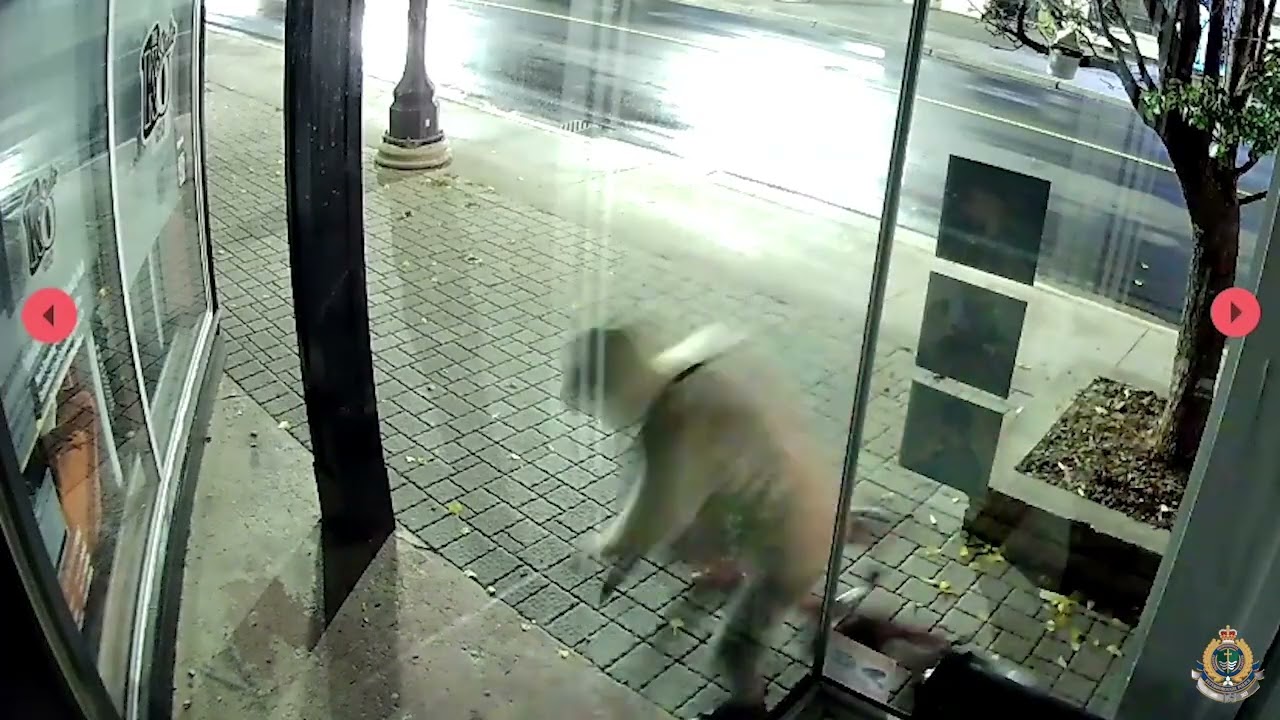 B&E Suspects Sought Nov 2025