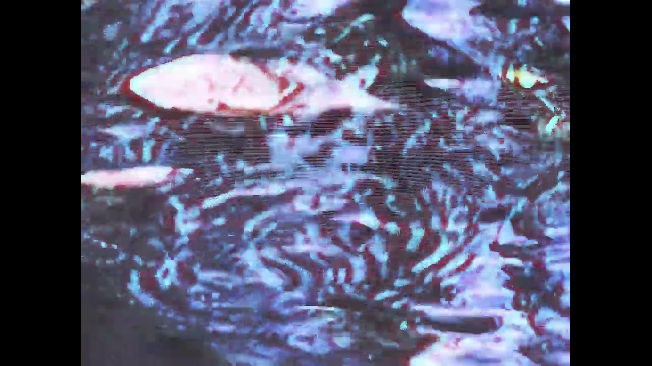 Barrow - Carnelian (Where I Was) [official video]