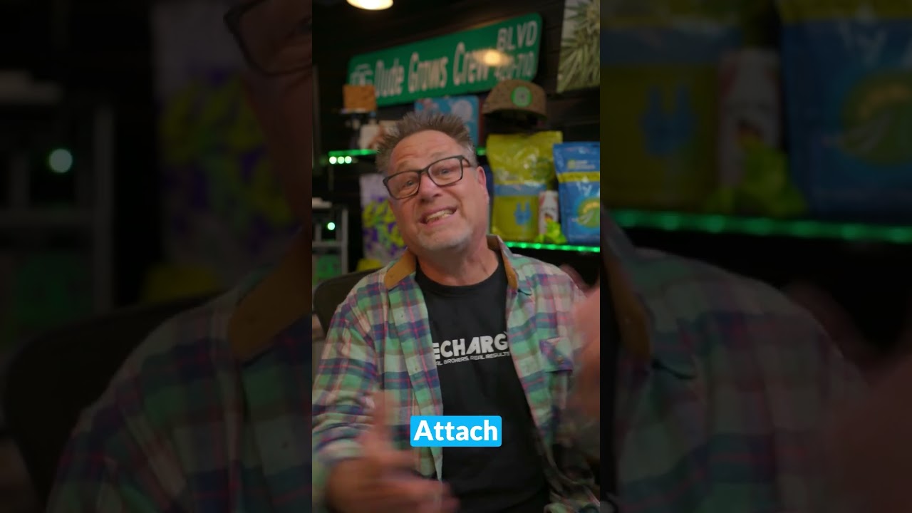 🪴Your Plants Need Aeration in the Soil