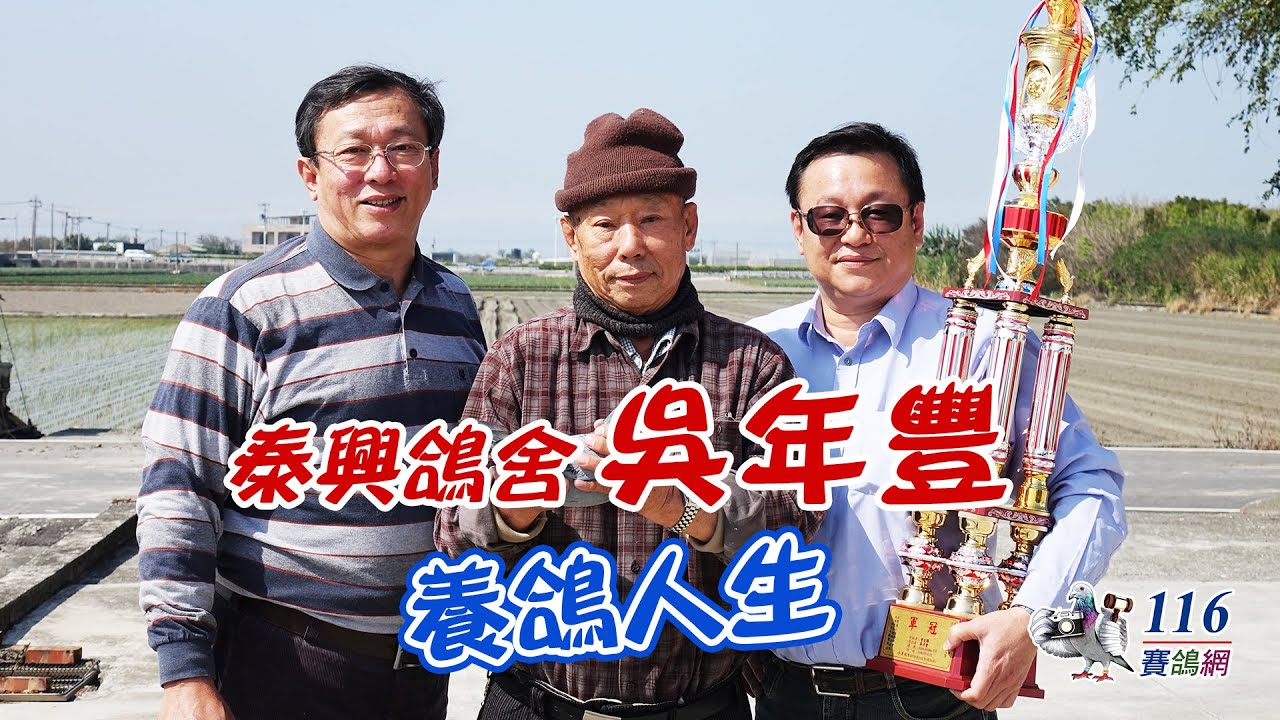 【強豪名家】泰興鴿舍：吳年豐，2019年入賞馬龍山冬季綜合冠軍🏆，關於他的養鴿人生