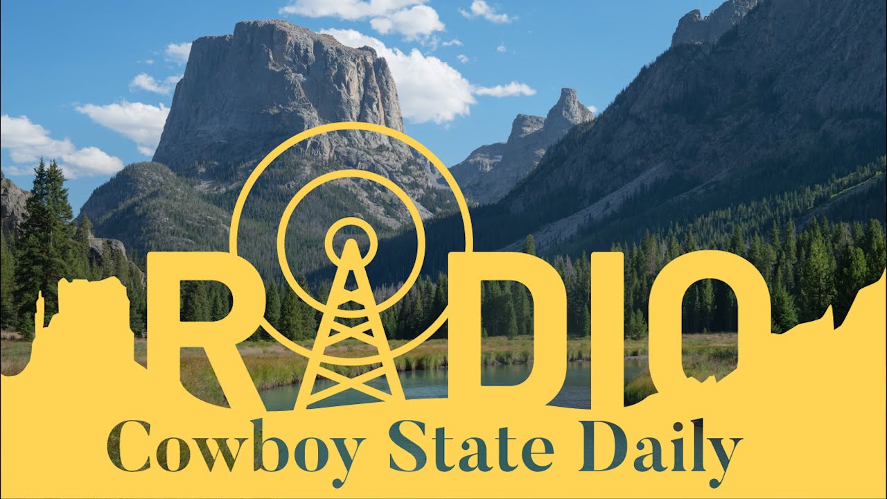CSD Radio Interview 1 20