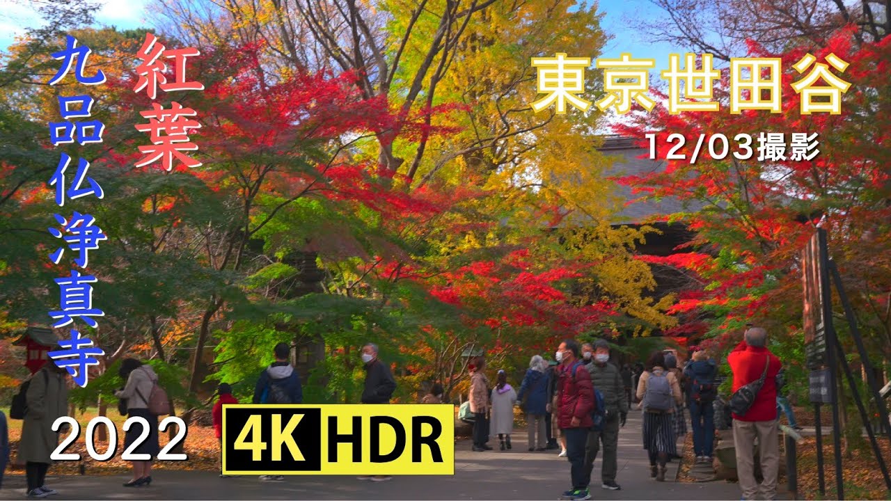 2022 紅葉が美しい九品仏浄真寺(4K-HDR) Beautiful Autumn Colors At Kuhonbutsu Jyoshinji Temple In Tokyo(UHD-HDR)