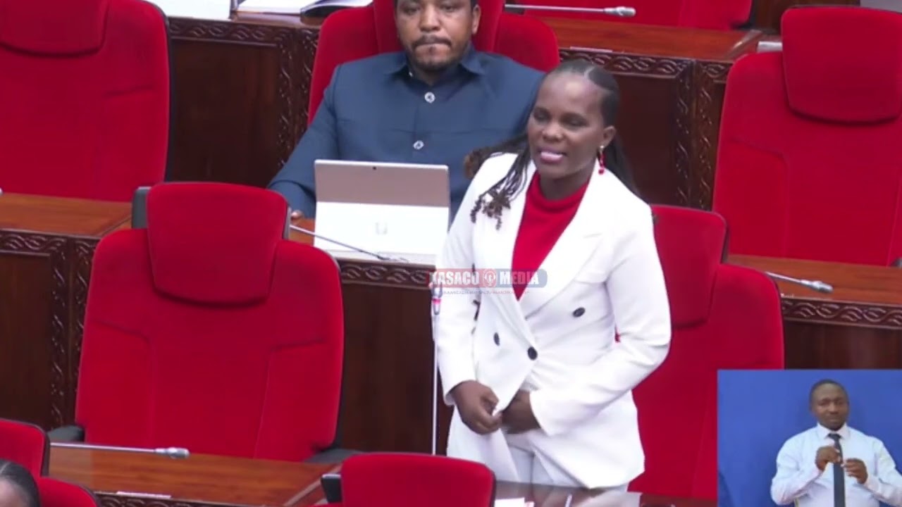KWA MARA YA KWANZA MBUNGE WA SEGEREA KUPITIA  (CHAUMMA)AONGEA BUNGENI, ASHUSHA NONDO