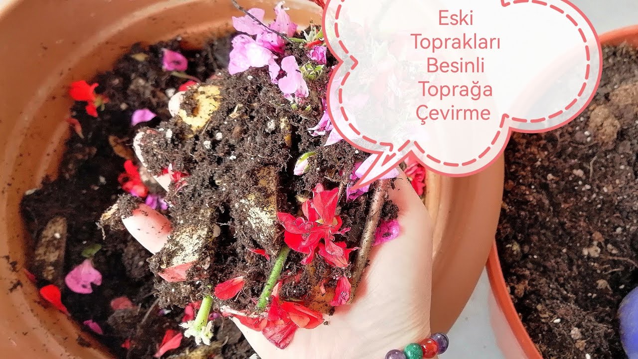 ÇİÇEK TOPRAĞI ATMAYA SON💥BESİNLİ TOPRAĞA NASIL DÖNÜŞTÜRÜLÜR#BİTKİBESİNİ #ÇİÇEKBAKIMI