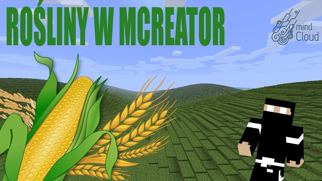 Kukurydza czyli ROŚLINY UPRAWNE w Mcreator!