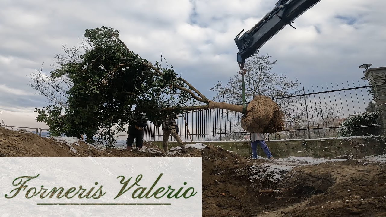 Garden restyling parte 1