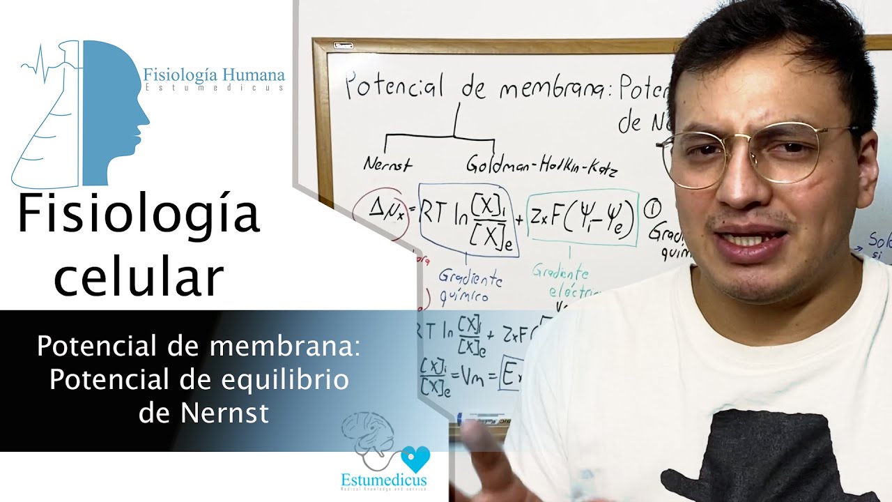 Potencial de membrana: Potencial de equilibrio de Nernst | Fisiología celular