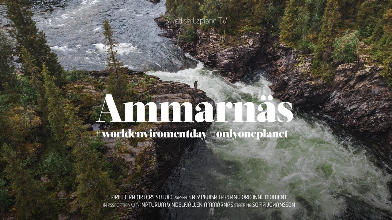 #worldenviromentday Ammarnäs, Swedish Lapland