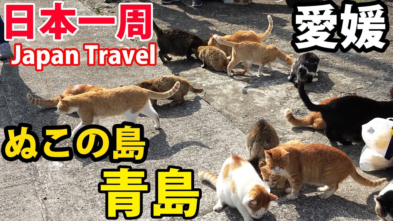 (52)【第３５日】ネコがたくさんいる島 愛媛県大洲市青島を再訪《夏休み日本一周の旅 松山市駅～伊予長浜駅》│Cats Island Aoshima 9/13-101