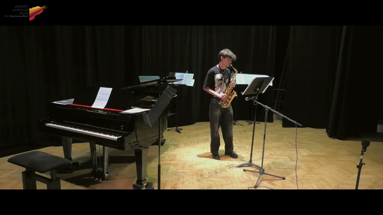 Bart Howard - Fly Me To The Moon: Václav Nachtmann