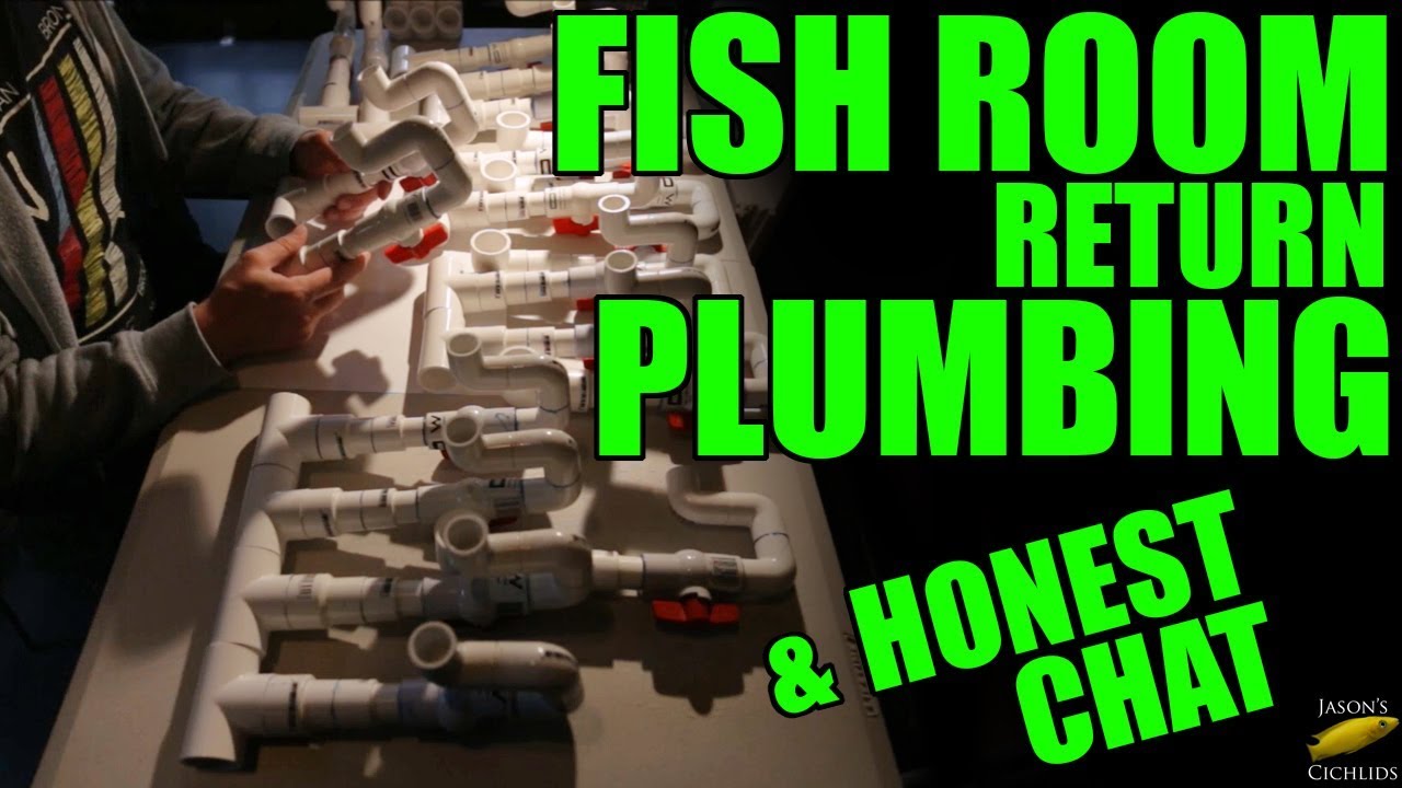 Fish Room Plumbing Return Lines