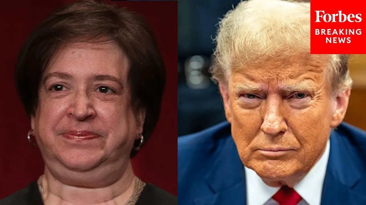 'Those Words Are From Justice Kagan': GOP Senator Uses Liberal Justice's Quote To Shred Injunctions