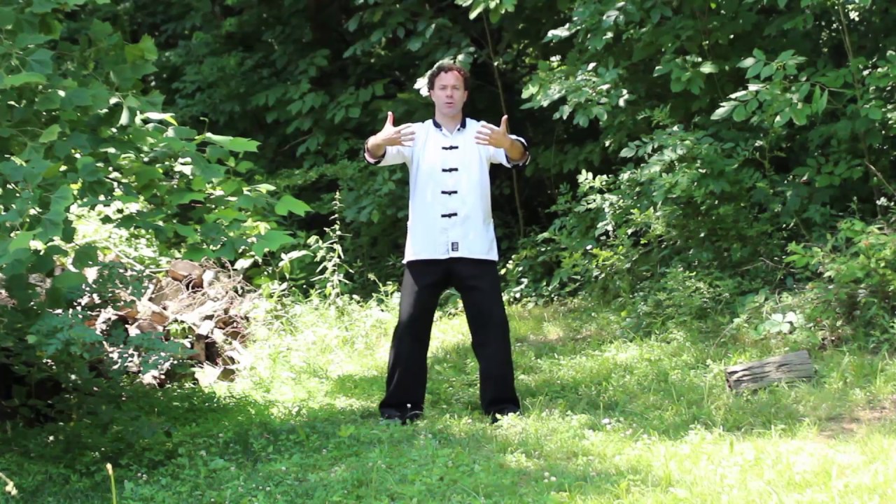 Basics of Iron Shirt Chi Kung Postures