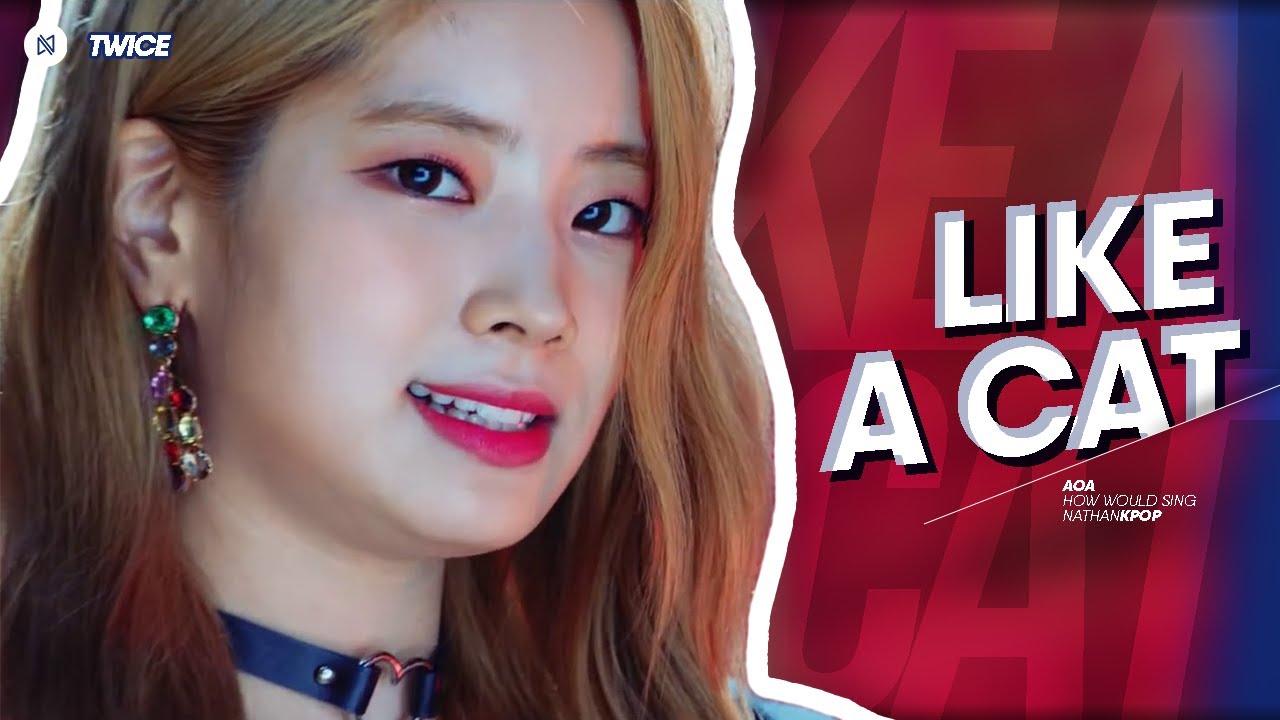What if TWICE have a comeback song like AOA - LIKE A CAT?  (How would sing [With FMV])