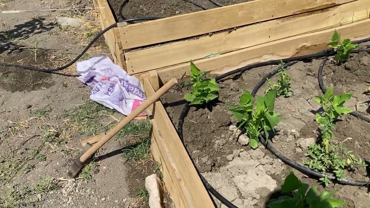 Bahçe Yatağı Ve Kışlık Ekim Ve Planlama #18