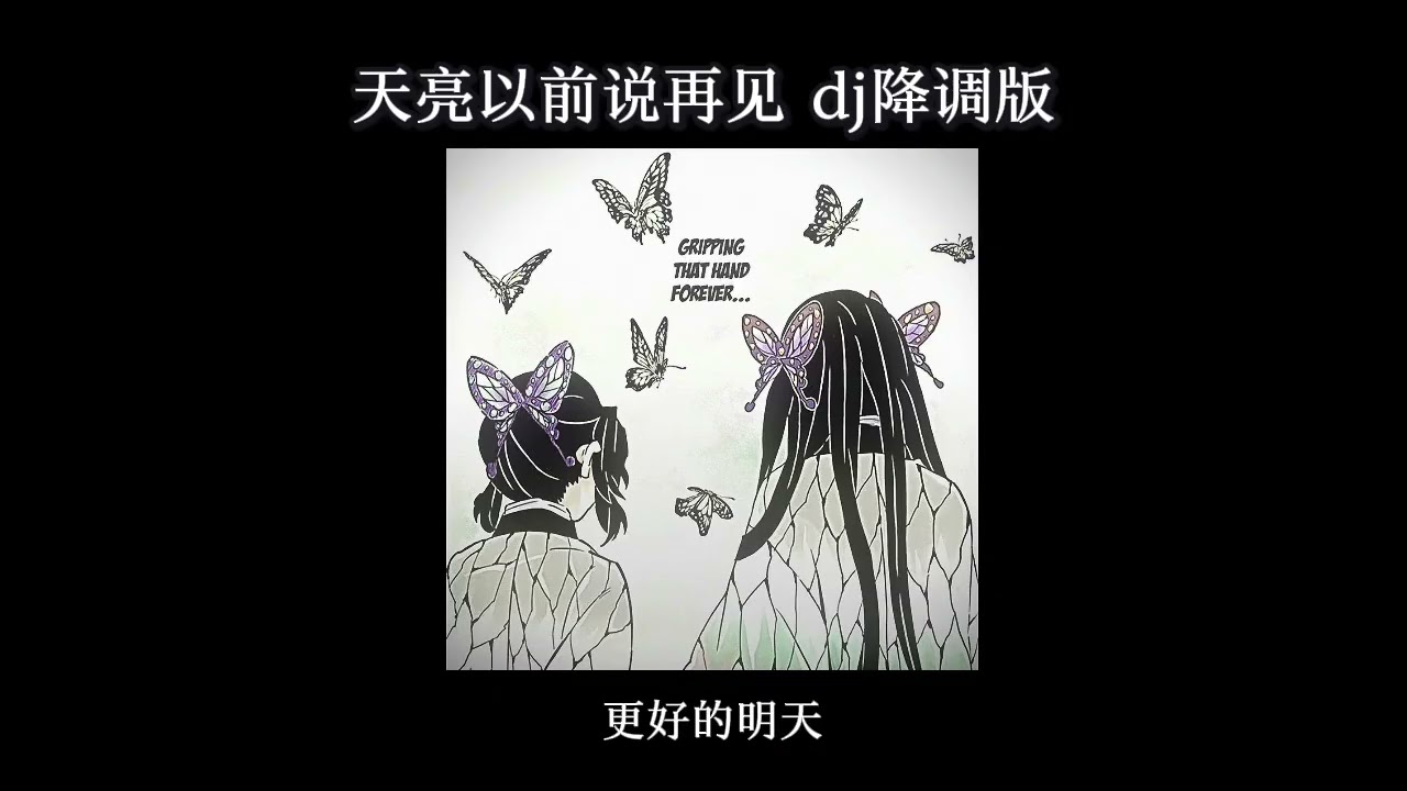 曲肖冰 - 天亮以前说再见 dj降调版