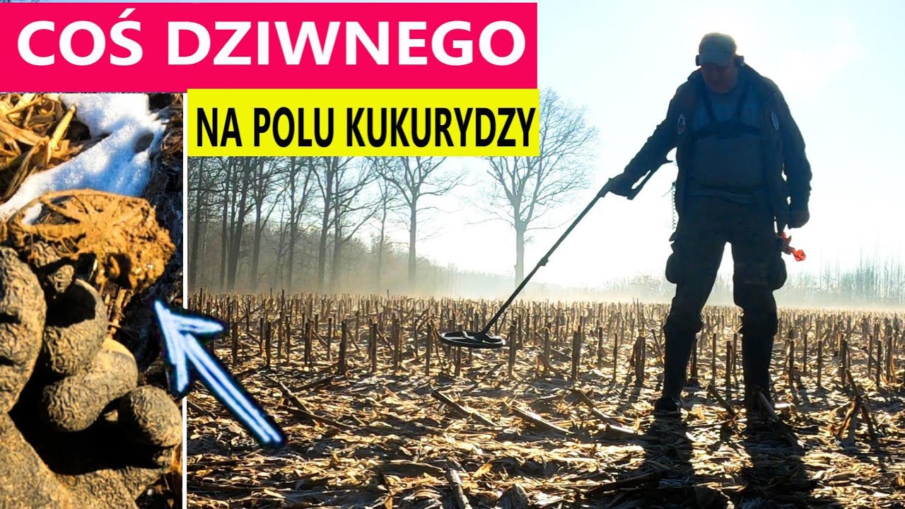TAJEMNICZE ZNALEZISKO NA POLU KUKURYDZY.