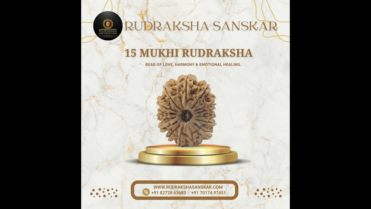 #15MukhiRudraksha #ShivaDevotees #SpiritualAwakening