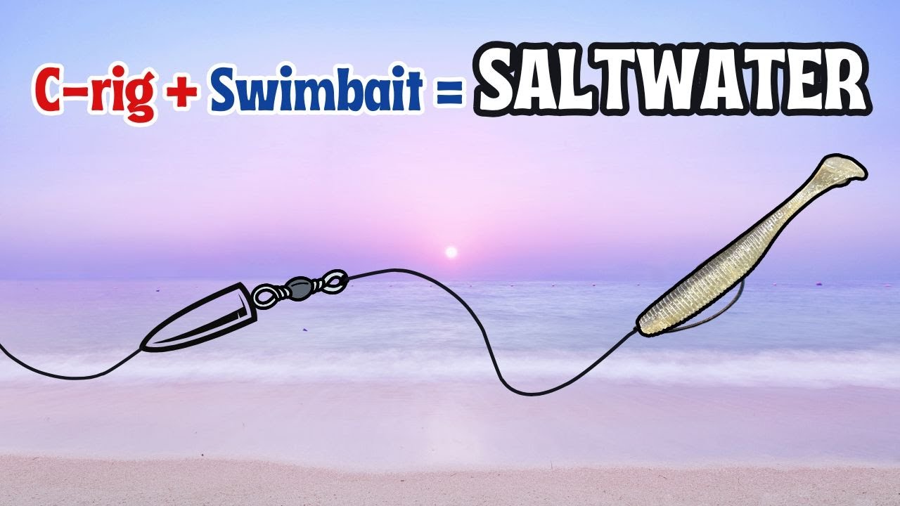 Carolina rig. Reeling method. Saltwater Fishing