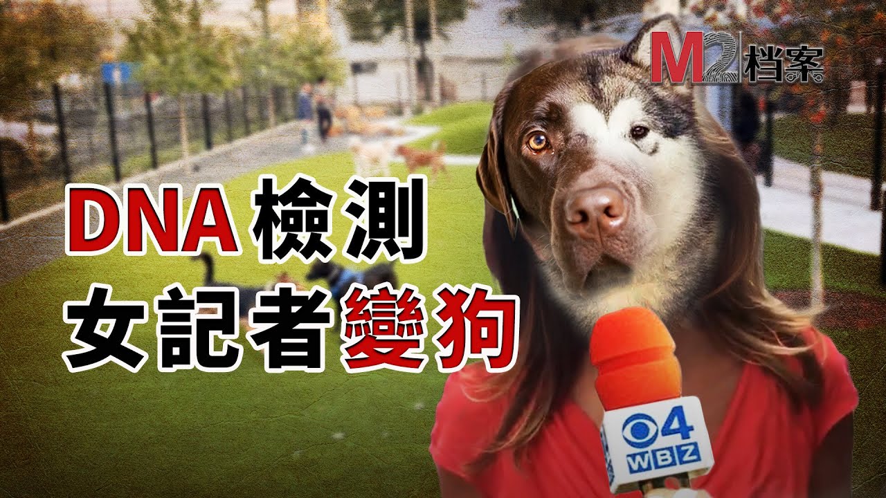 想知道愛犬品種，記者覺得檢測不靠譜，寄出自己的DNA，結果她變成了狗，還是個串兒