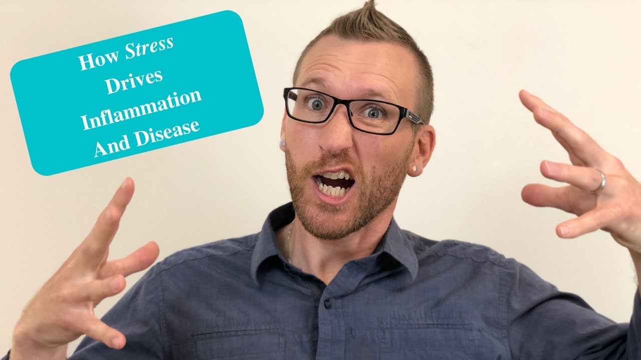 How Stress Drives Inflammation & Disease