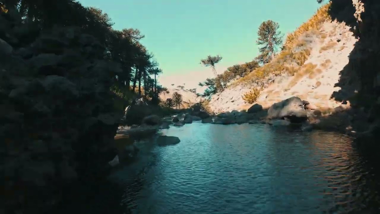 TIMOTEO - DAR EL SALTO