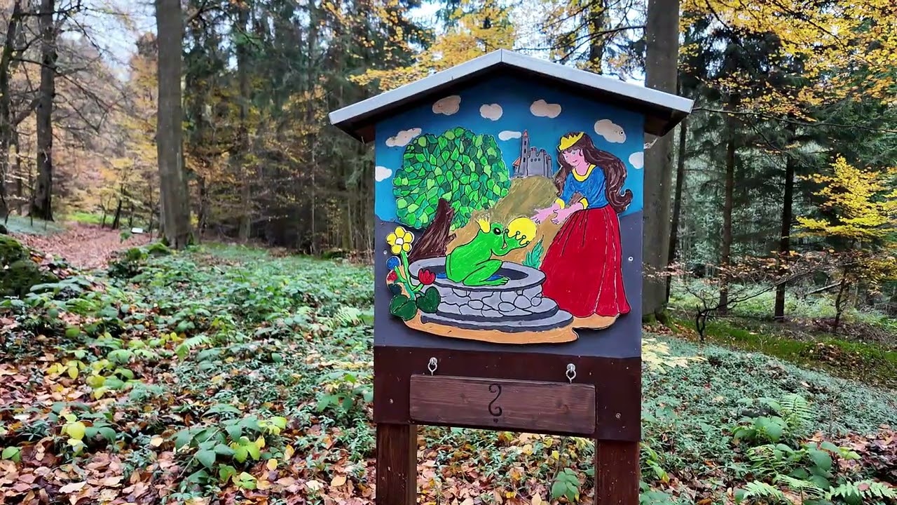 Kempenich Erlebniswald Steinrausch