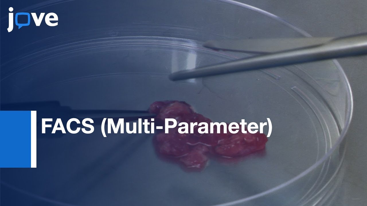 FACS used for Isolation of Human Lymphatic Endothelial Cells | Protocol Preview