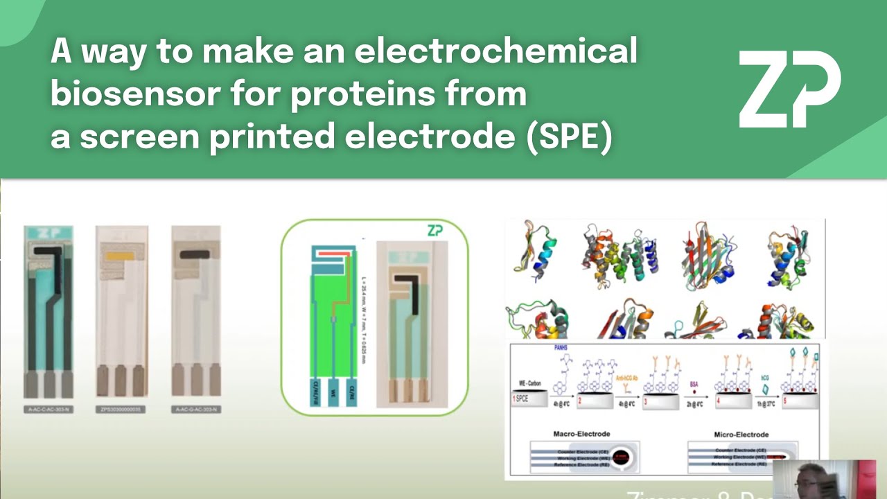 A way to make an electrochemical biosensor for proteins from a screen printed electrode (SPE)
