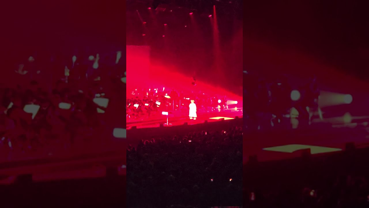 Zaho de Sagazan - Tristesse au Zenith de Nantes le 14 Novembre