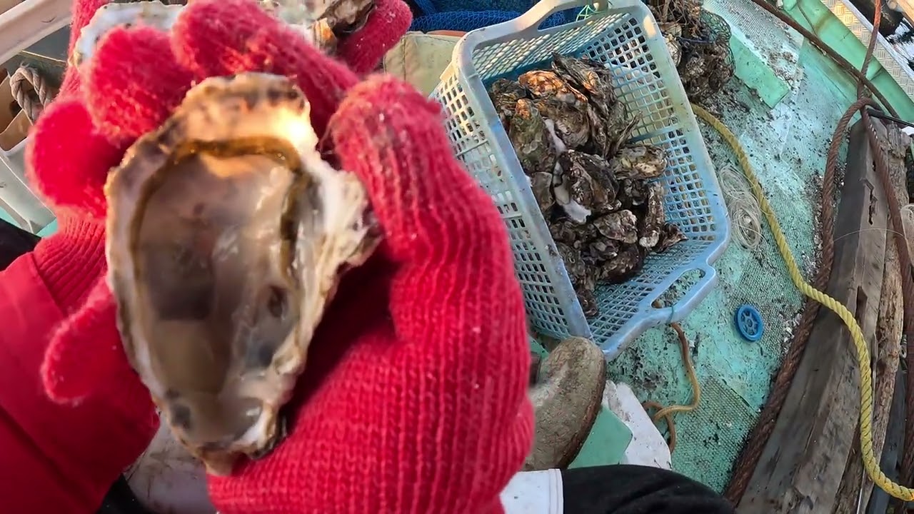 牡蠣筏で釣り日記#15