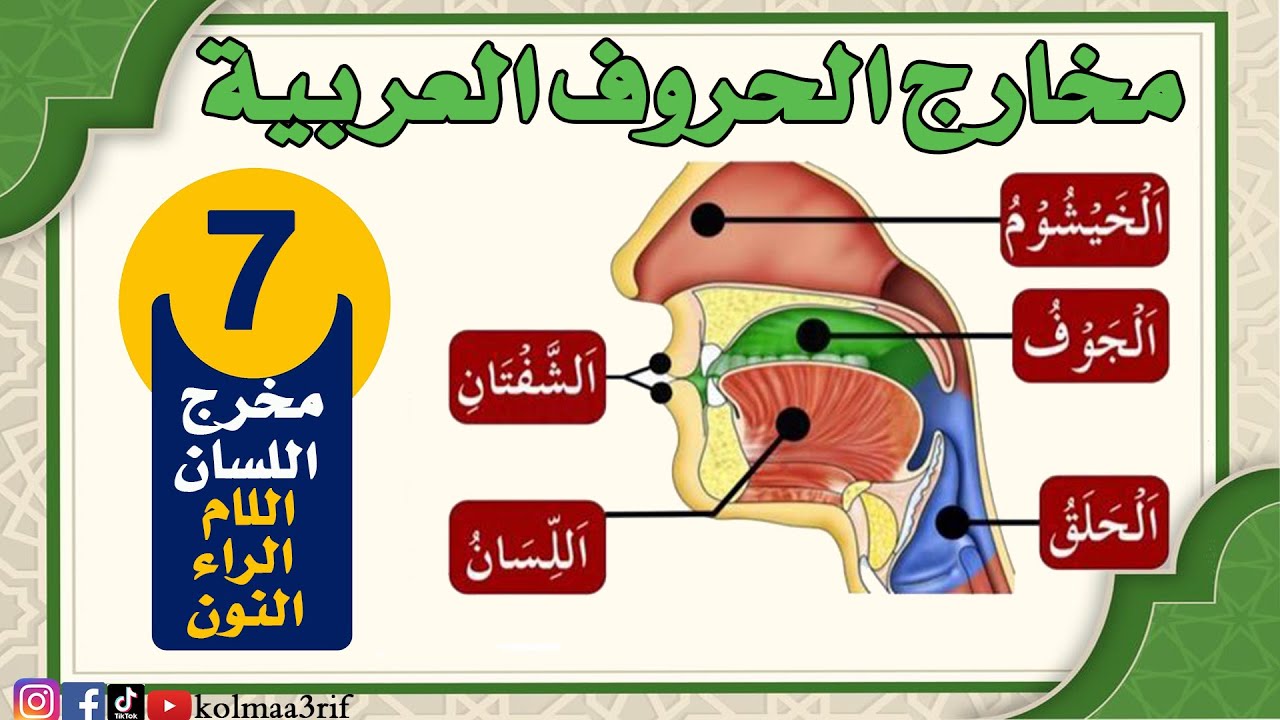 التجويد:  مخارج الحروف (اللسان) اللام والراء والنون