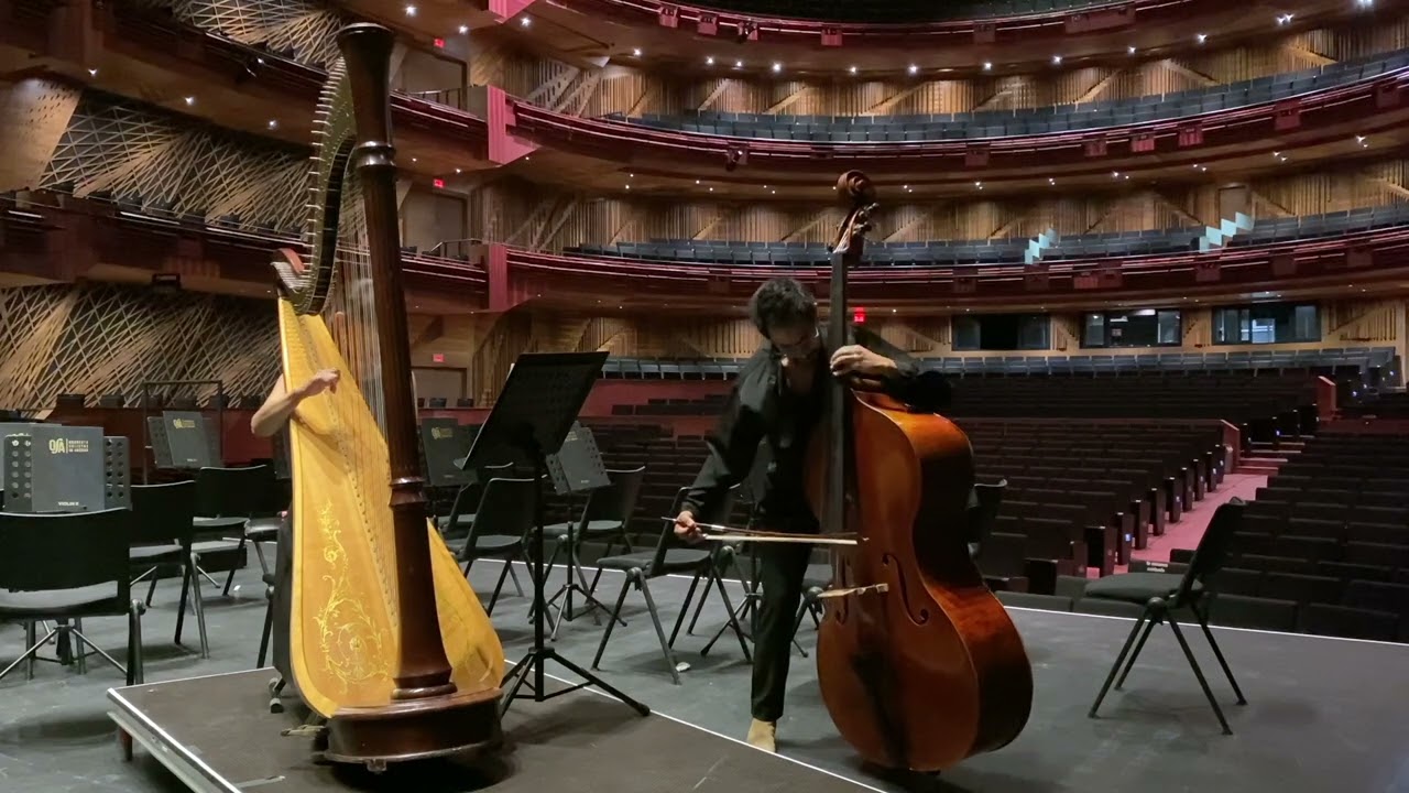 FREDDY ADRIAN - A. GINASTERA - VARIACIONES CONCERTANTES - BASS SOLO