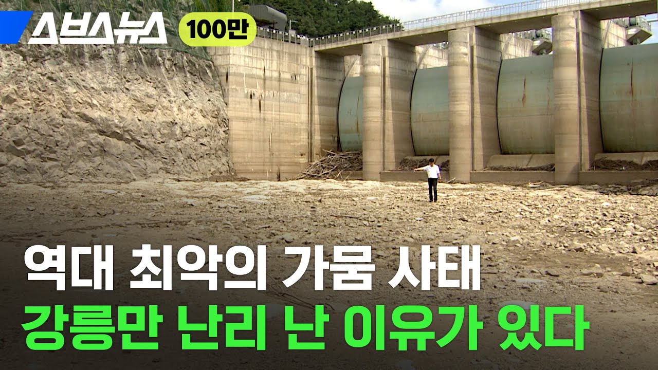 속초는 워터밤, 강릉은 최악의 가뭄…같은 강원도인데 이렇게 차이가 나는 이유 / 스브스뉴스