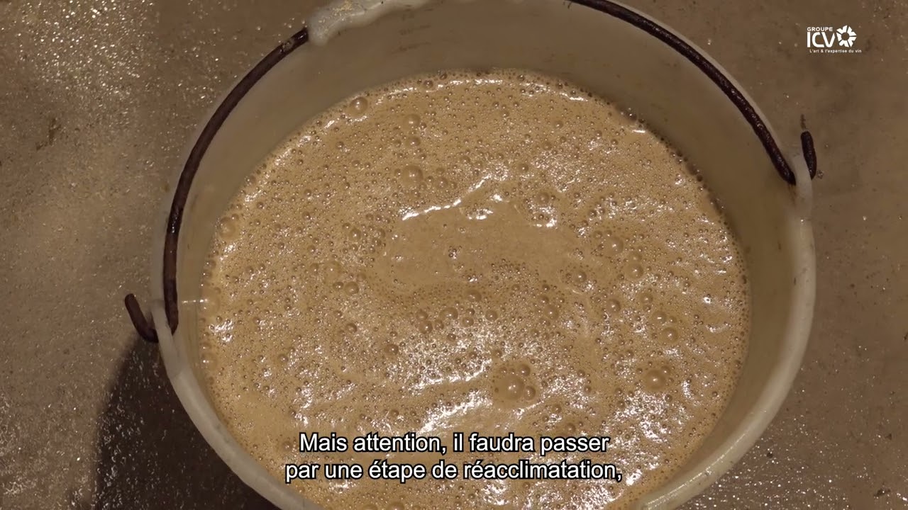 Les bonnes pratiques du levurage