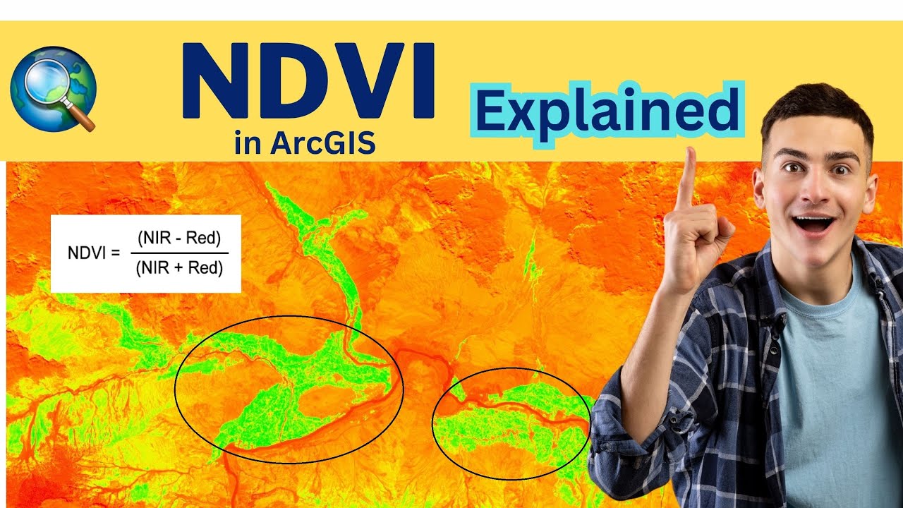 NDVI Explained