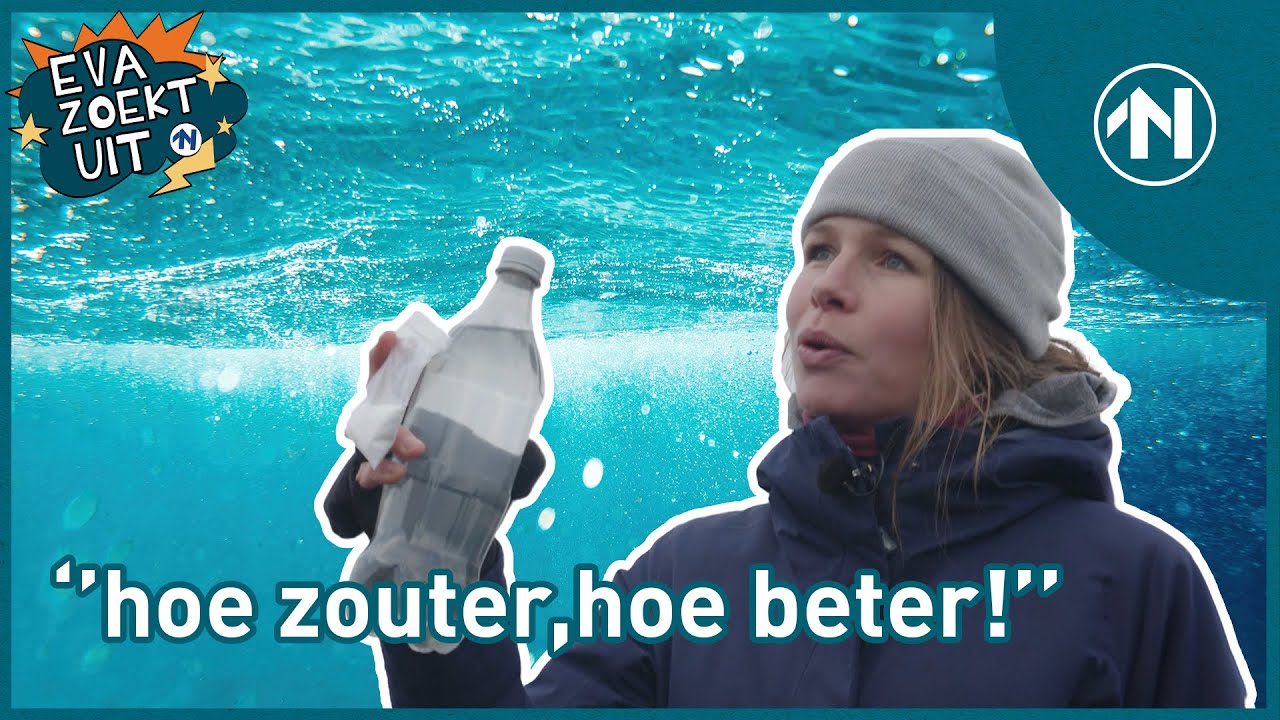 Waarom is de Zee Zout: een les van een Zeebioloog