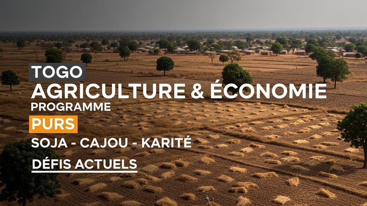 Togo : agriculture et économie | analyse du programme PURS et des filières soja, cajou et karité