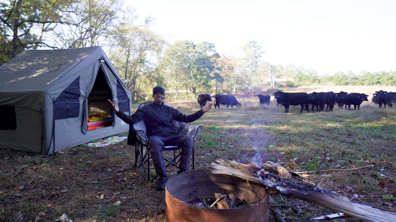 Luxury Camping With COWS + Cooking Salmon In A Inflatable Tent !!