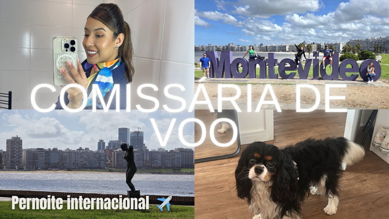 Comissária de Voo - Pernoite Internacional - Montevidéu Uruguai