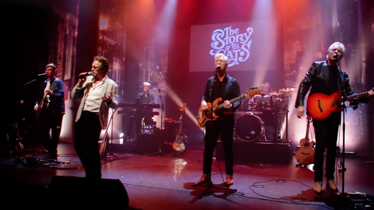 The Cats in the House - Vaya con Dios