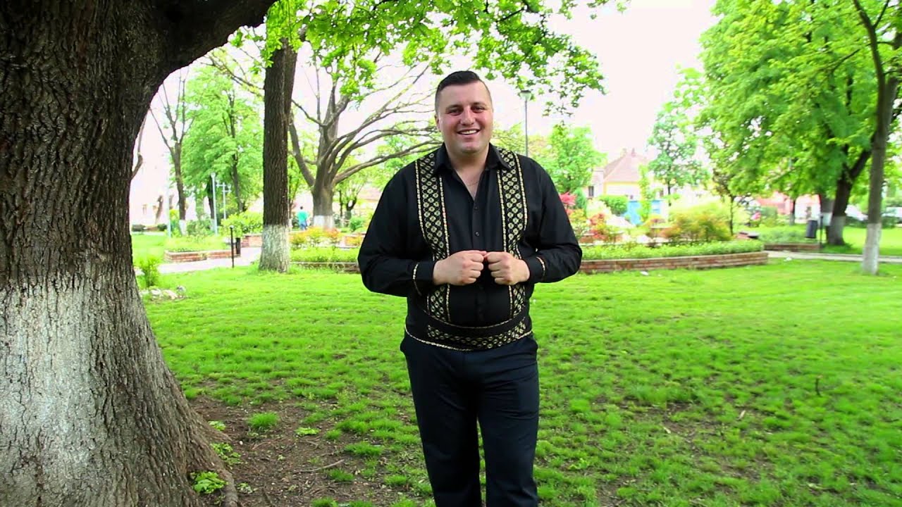 CLAUDIU BORZA - A inflorit dragostea noastra (Official Videoclip)