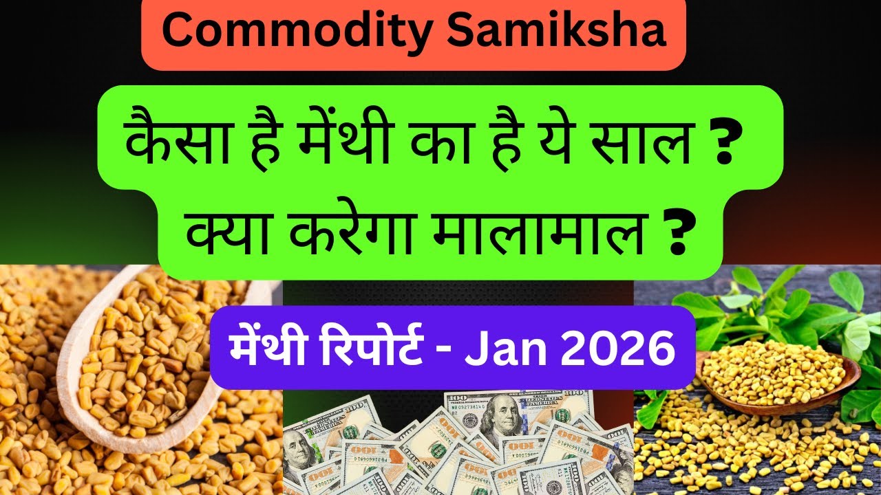कैसा है मेंथी का है ये साल ? क्या करेगा मालामाल ?/ Fenugreek Report /Commodity Samiksha/Jan 2026