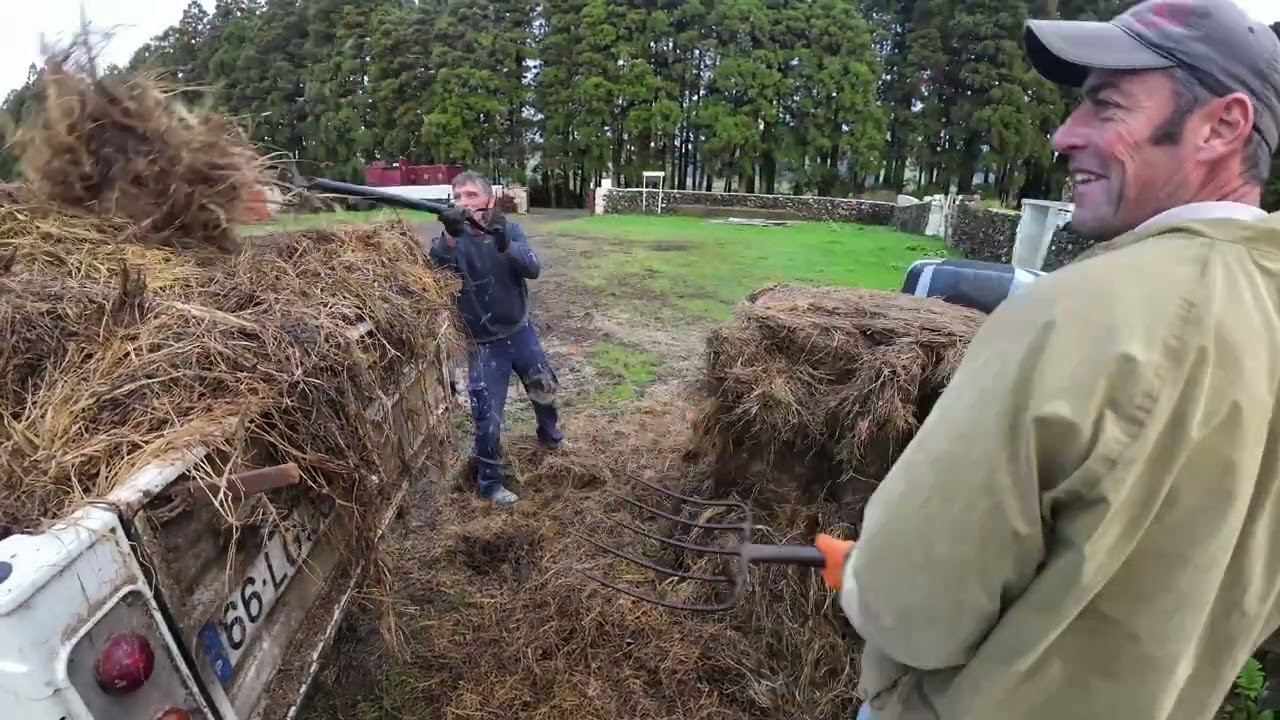 Quinta Olé Toiro, tratar do gado