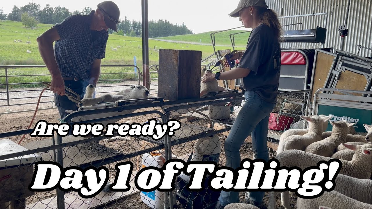 Day 1 of Tailing! Are We Ready?