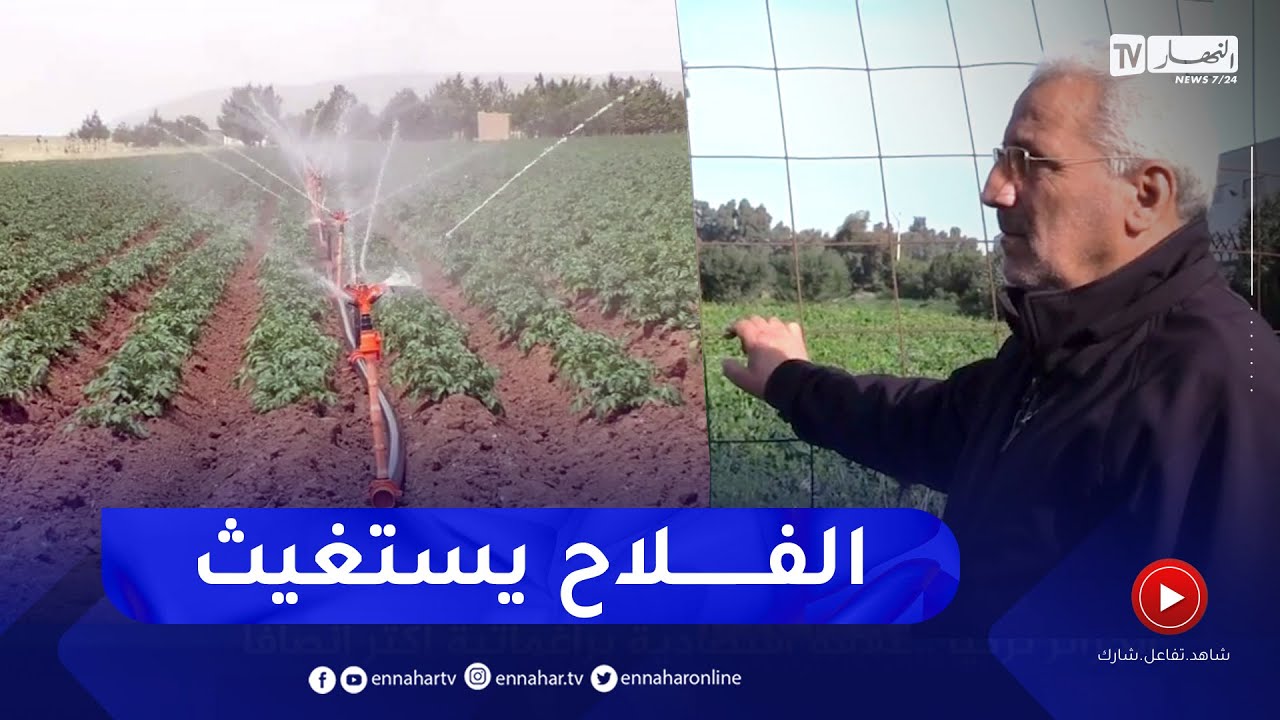 مجتمع: أراضي فلاحية متنازع عليها .. مشكل يؤرق مالكيها