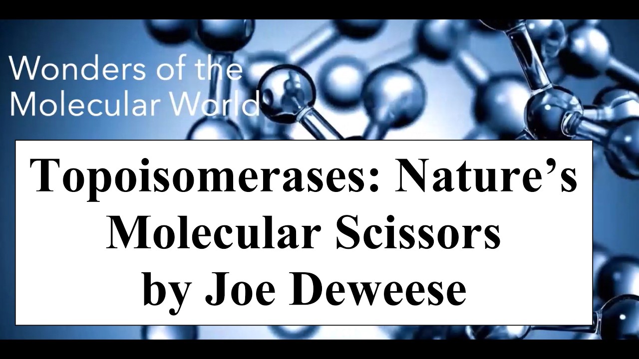 Topoisomerases: Life's Molecular Scissors, by Joe Deweese