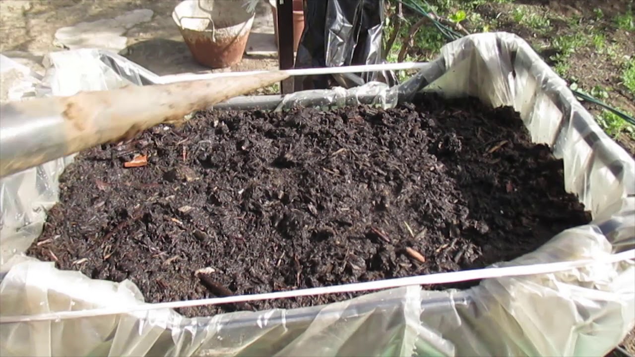 ORTO IN CASSETTA: Quest'anno tutti possiamo coltivare gli ortaggi