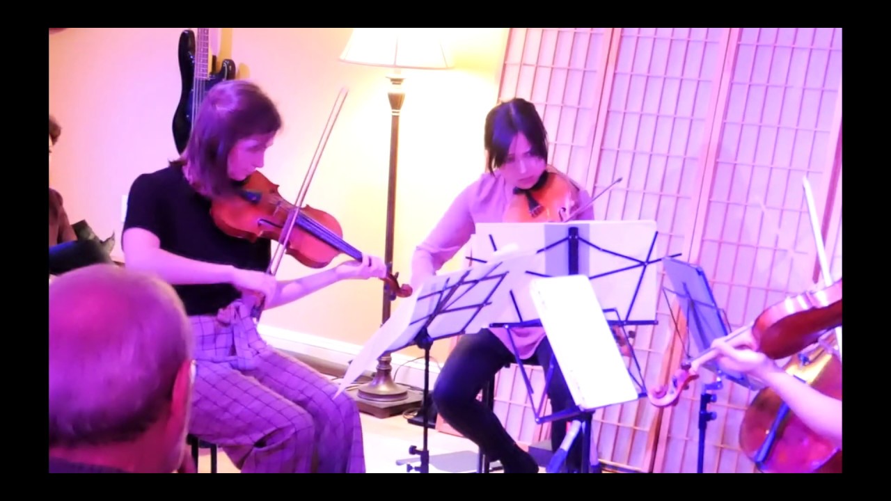 DSQ: Shine You No More - Rasa String Quartet