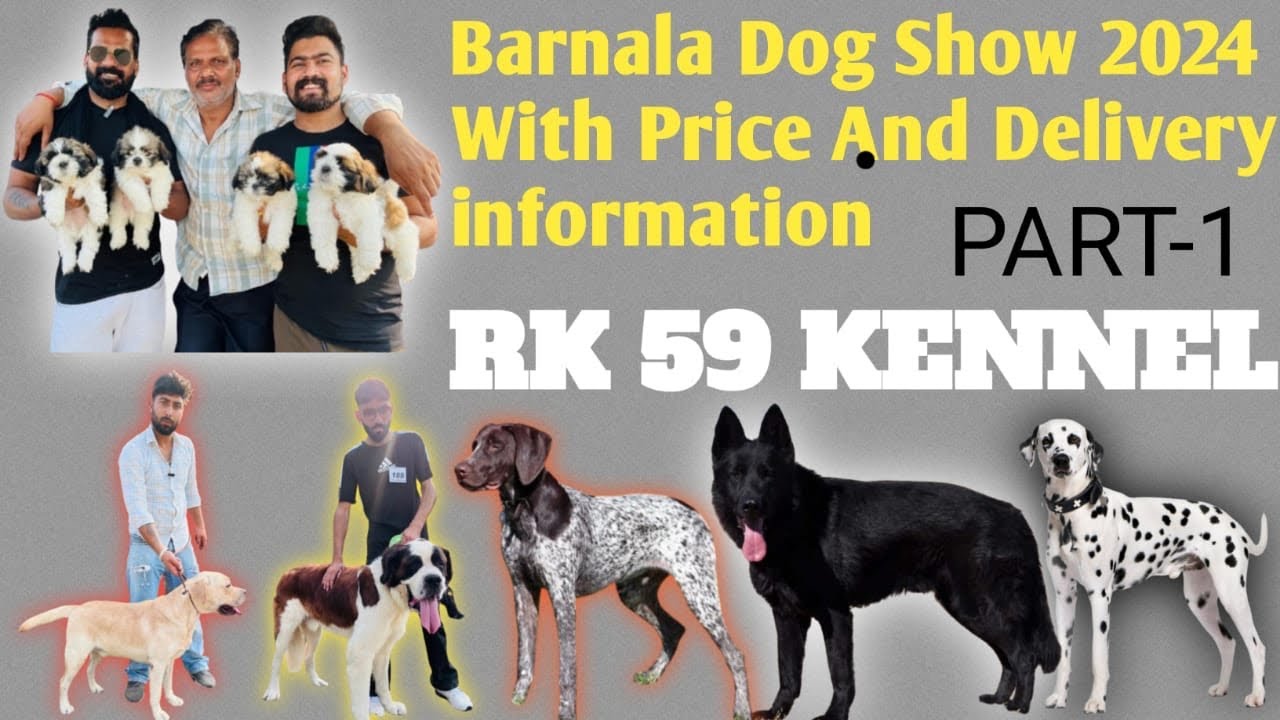 Dog Show in Barnala Punjab 2024 | Barnala Dog Show 2024 With Price And Delivery information